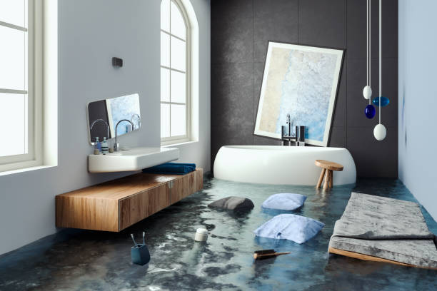Best Water damage restoration experts  in Dexter, MO