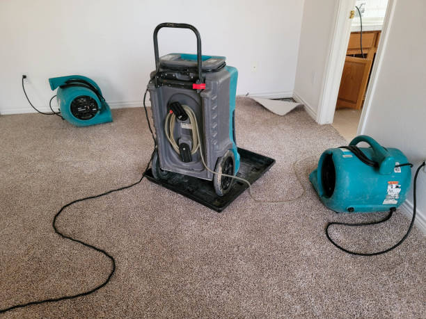 Best Emergency water damage restoration  in Dexter, MO