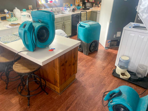 Best Flooded house restoration  in Dexter, MO