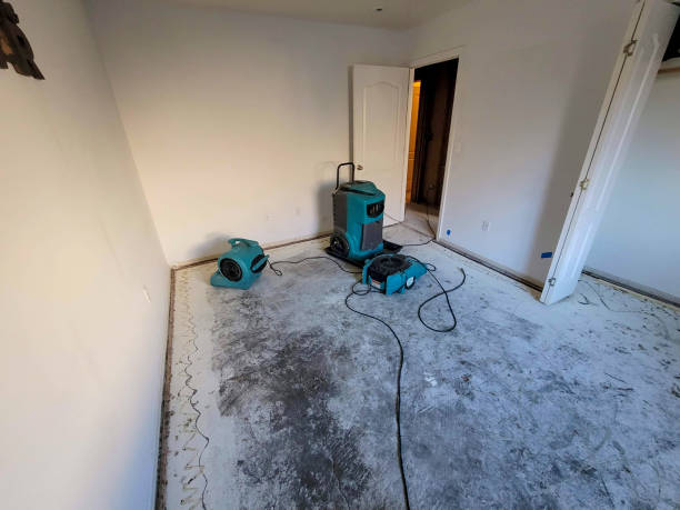 Best Water damage restoration near me  in Dexter, MO
