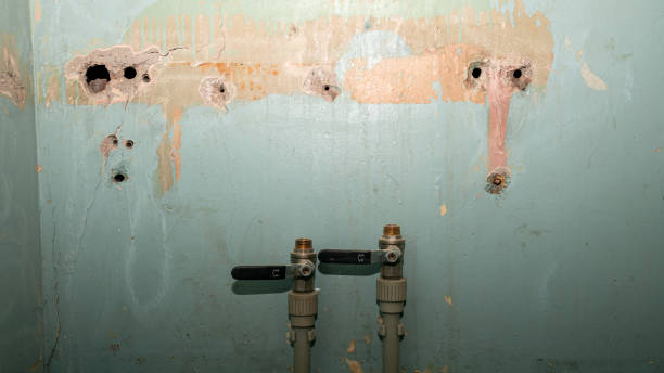 Best Water damage restoration near me  in Dexter, MO