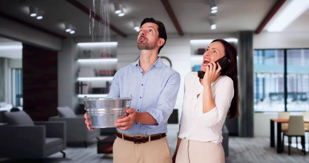Best Ceiling water damage repair  in Dexter, MO