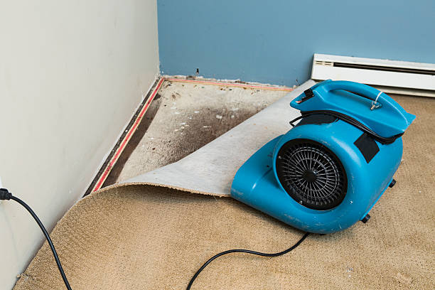 Trusted Dexter, MO Water damage restoration Experts